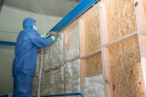 Best Insulation for New Construction  in South Bloomfield, OH